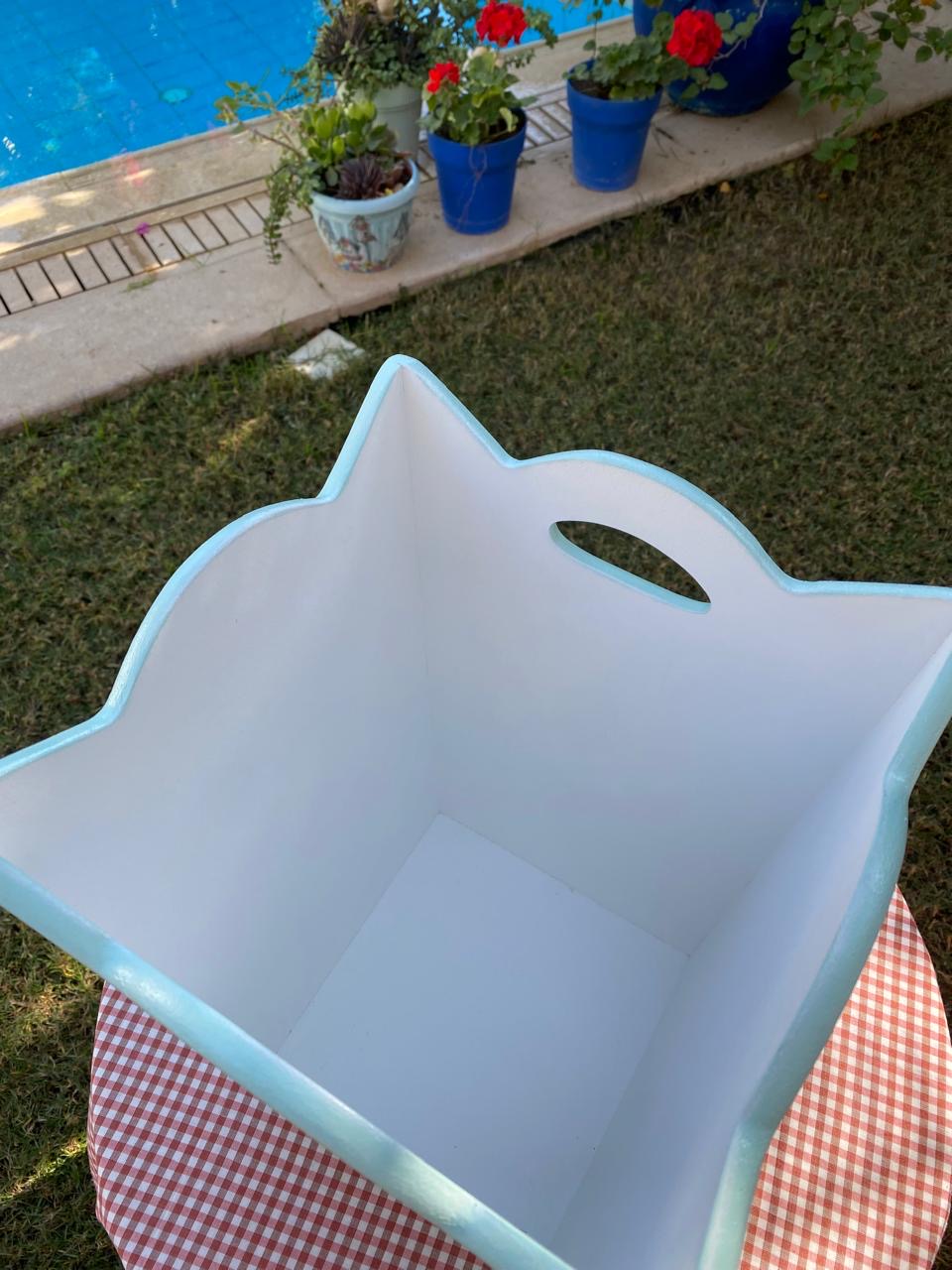 باسكت منت ورده ديما ( الورد الداخلي للتصوير )